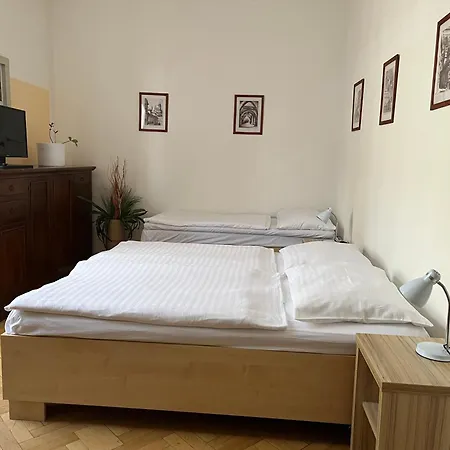 Apartment U Vejvodu *
