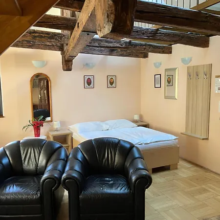 U Vejvodu Apartment
