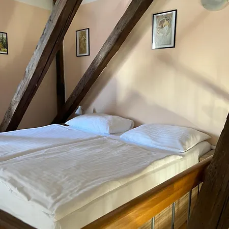 Apartment U Vejvodu *