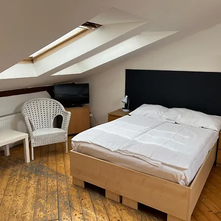 U Vejvodu Apartment *