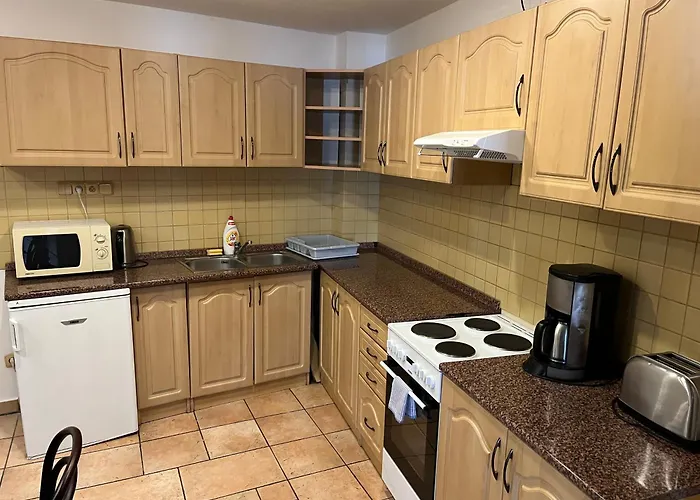 U Vejvodu Apartament *