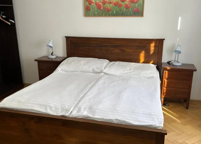 U Vejvodu Apartament *
