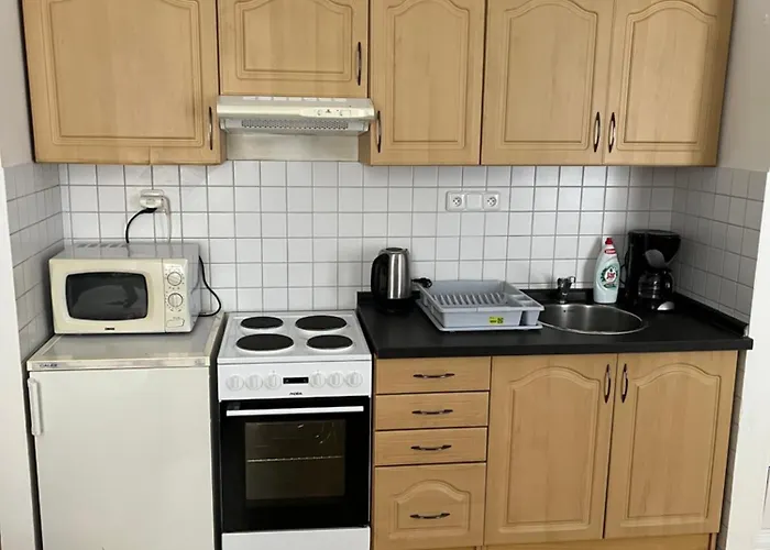Apartament U Vejvodu *